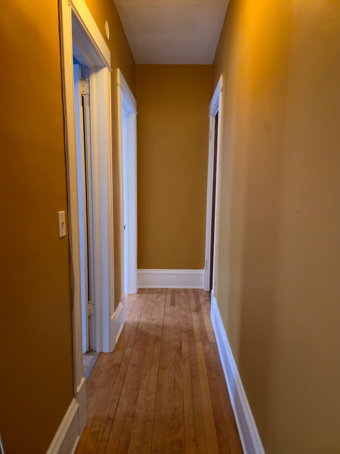 Warm Gold Hallway Transformation · Roseville, MN · Hallway walls, door casings, baseboards Hallway Interior Painting with Warm Gold Walls in Roseville, MN